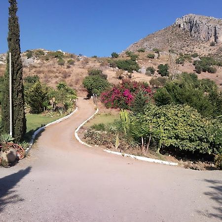 Finca Santa Matilde מאלגה מראה חיצוני תמונה