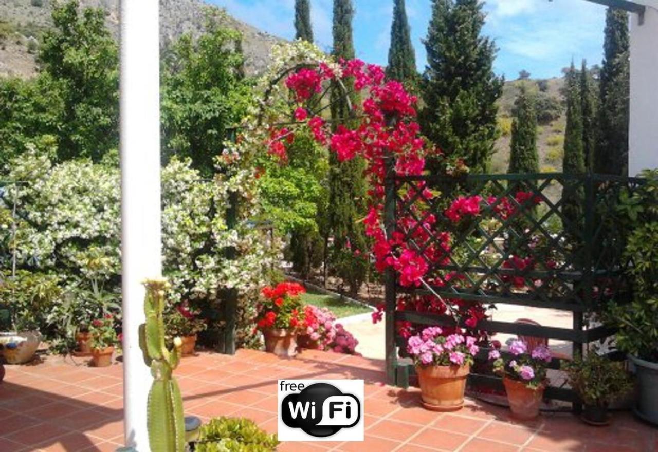 Finca Santa Matilde מאלגה מראה חיצוני תמונה