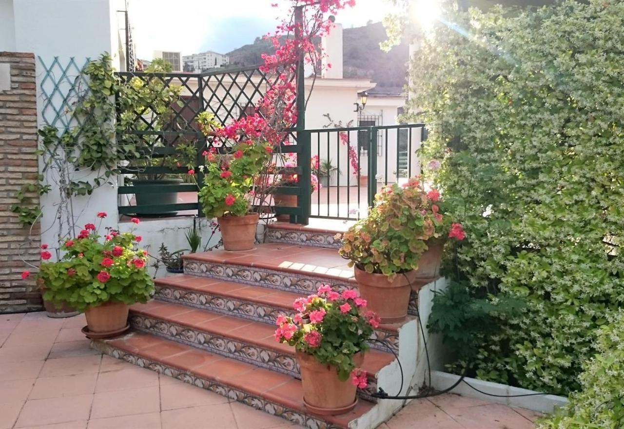 Finca Santa Matilde מאלגה מראה חיצוני תמונה