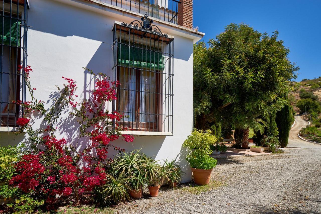 Finca Santa Matilde מאלגה מראה חיצוני תמונה