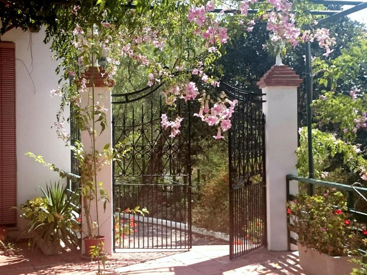 Finca Santa Matilde מאלגה מראה חיצוני תמונה