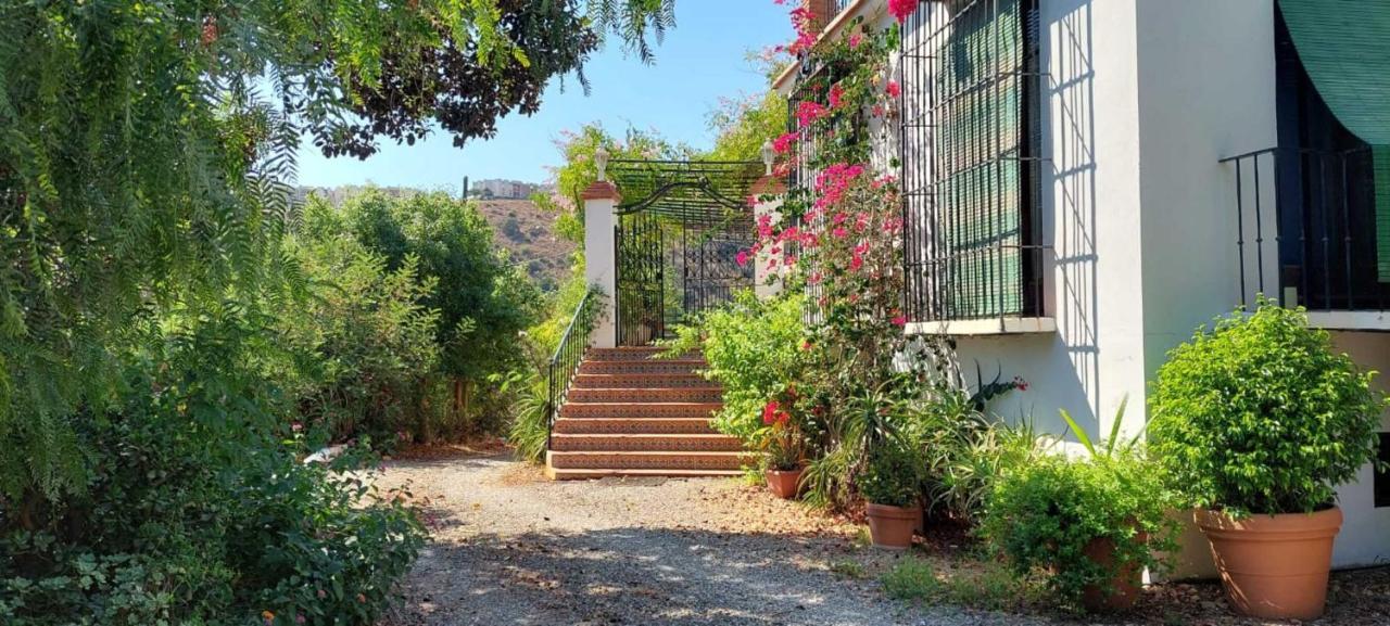 Finca Santa Matilde מאלגה מראה חיצוני תמונה