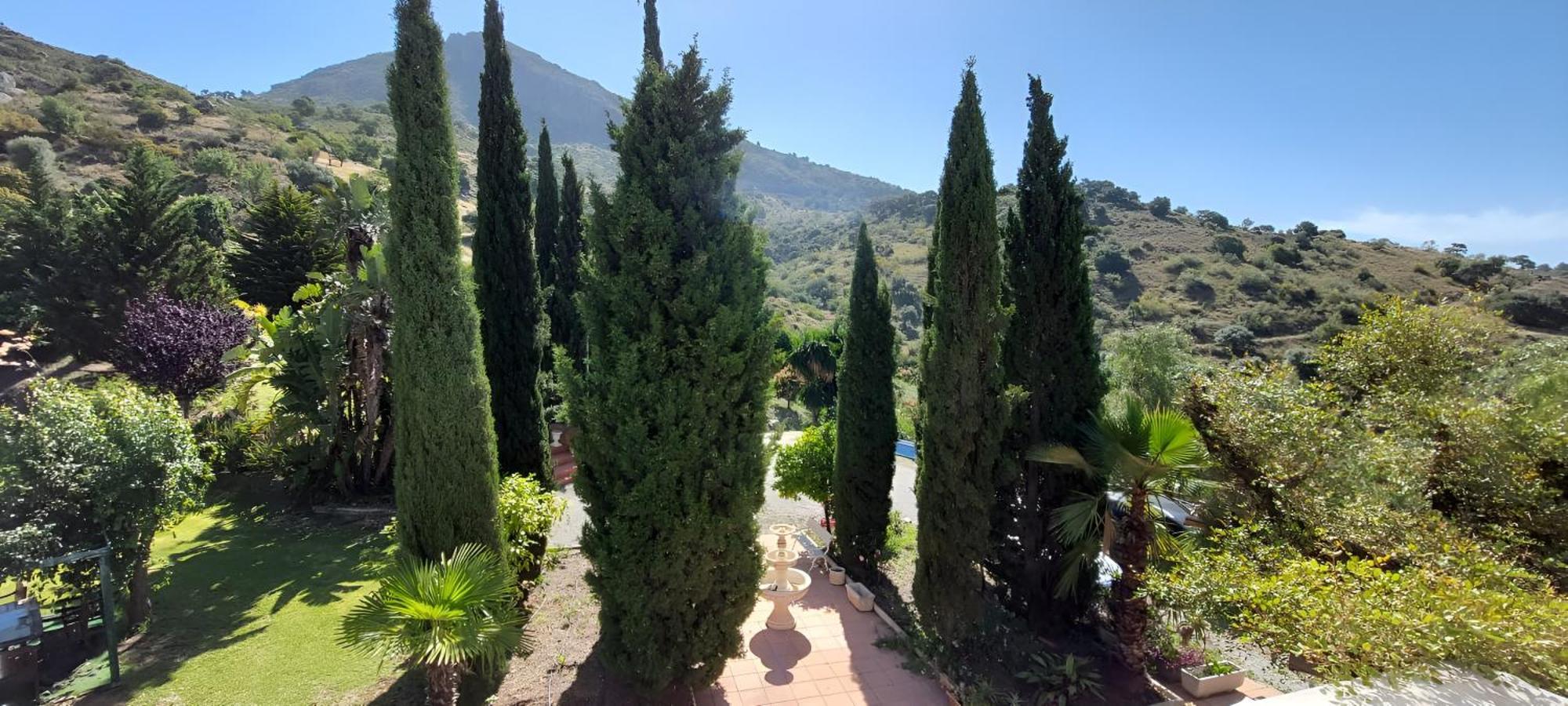 Finca Santa Matilde מאלגה מראה חיצוני תמונה