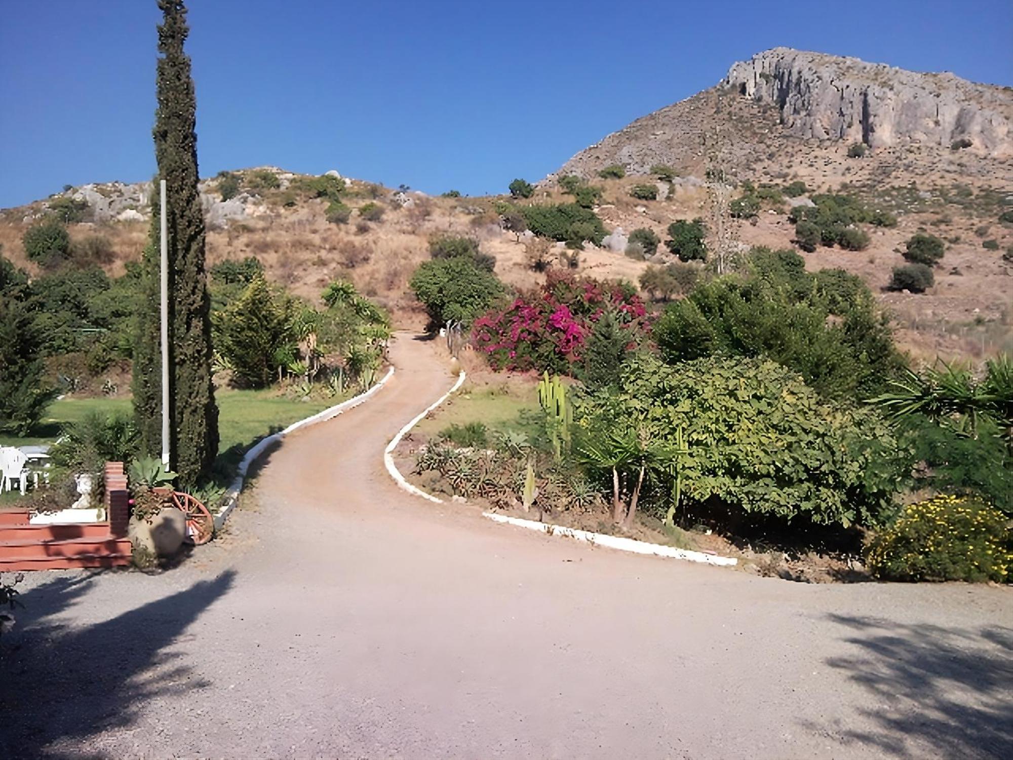 Finca Santa Matilde מאלגה מראה חיצוני תמונה